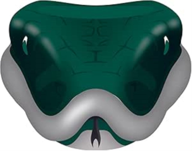 Ceramic Pot Shaped - Harry Potter (Slytherin)