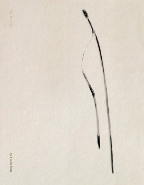 Txema Yeste: Needles