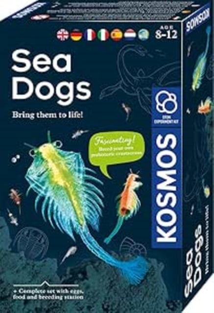 MBE Sea Dogs