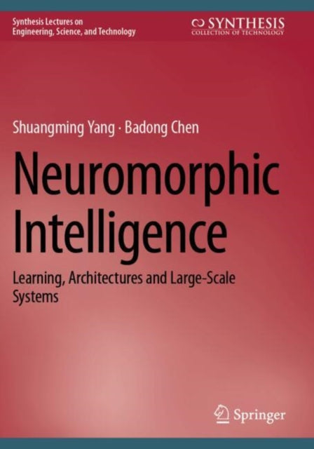 Neuromorphic Intelligence: Learning, Architectures and Large-Scale Systems