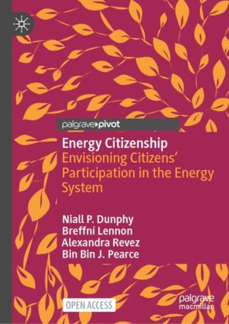 Energy Citizenship: Envisioning Citizens’ Participation in the Energy System