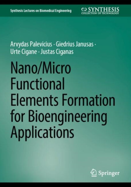 Nano/Micro Functional Elements Formation for Bioengineering Applications