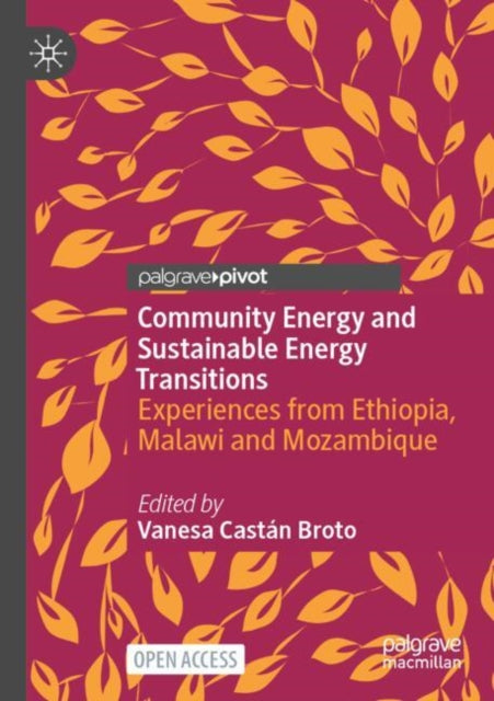 Community Energy and Sustainable Energy Transitions: Experiences from Ethiopia, Malawi and Mozambique