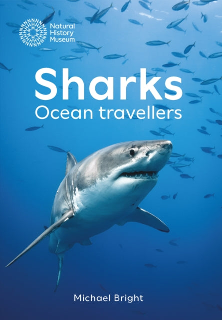 Sharks: Ocean Travellers