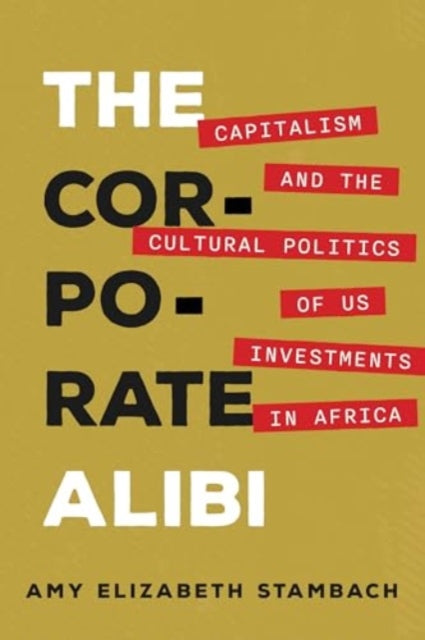 The Corporate Alibi: Capitalism and the Cultural Politics of US Investments in Africa