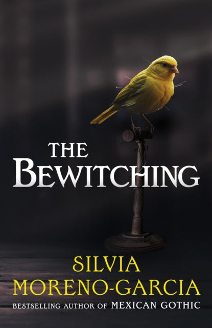 The Bewitching: folk horror meets dark academia in this thrilling supernatural mystery