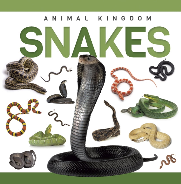 Snakes