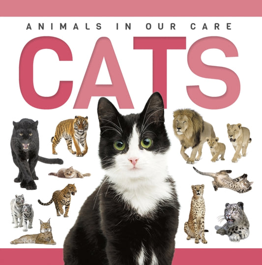Cats