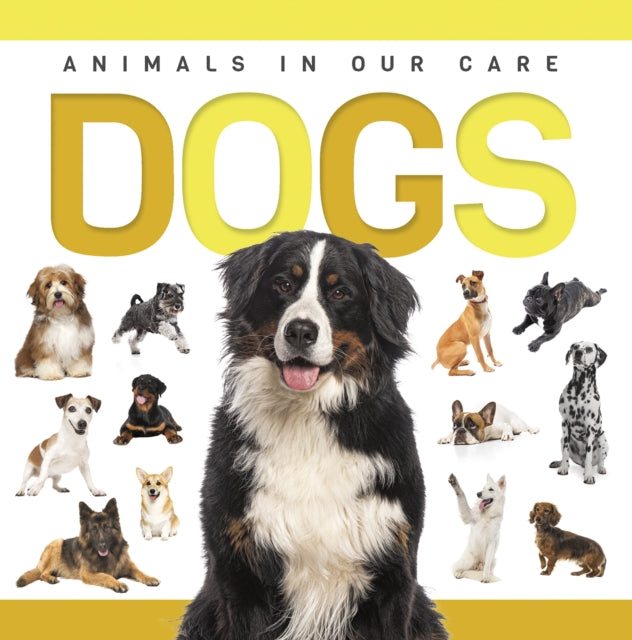Dogs