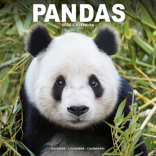Panadas Calendar 2026  Square Animal Wall Calendar - 16 Month