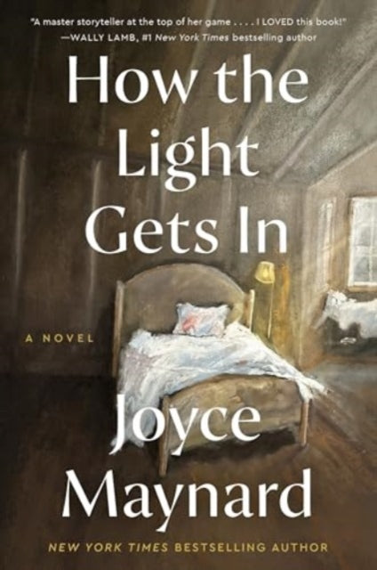 How the Light Gets In: A Novel