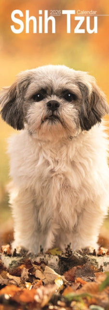 Shih Tzu Slim Calendar 2026  Dog Breed Slimline Calendar - 12 Month