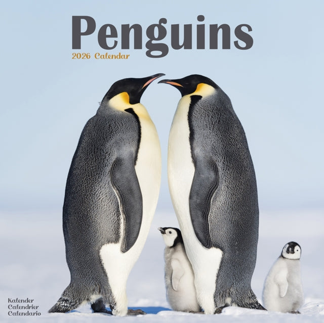 Penguins Calendar 2026  Square Animal Wall Calendar - 16 Month