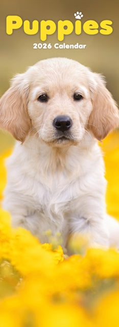 Puppies Slim Calendar 2026  Dog Breed Slimline Calendar - 12 Month