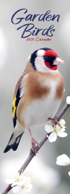 Garden Birds Slim Calendar 2026  Bird Slimline Calendar - 12 Month