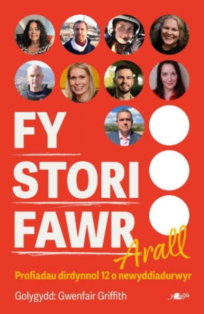 Fy Stori Fawr Arall - Profiadau dirdynnol 12 o newyddiadurwyr