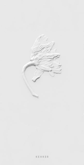 Ephemeral Field Journal: Climate and Love in Claude Monet's Garden