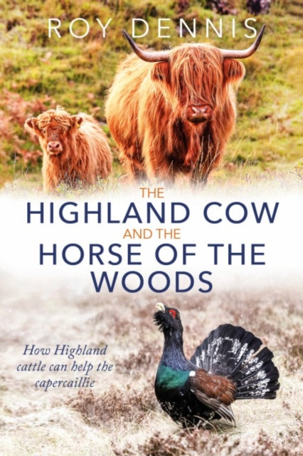 The Highland Cow and the Horse of the Woods: How Highland cattle can help the capercaillie