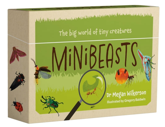 Minibeasts: The big world of tiny creatures
