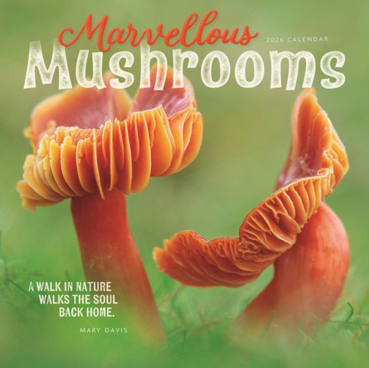Marvellous Mushrooms Square Wall Calenda