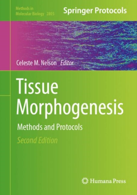 Tissue Morphogenesis: Methods and Protocols