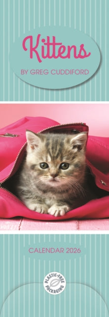 Kittens By Greg Cuddiford Slim Calendar