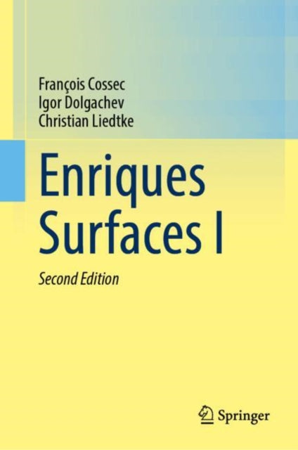 Enriques Surfaces I