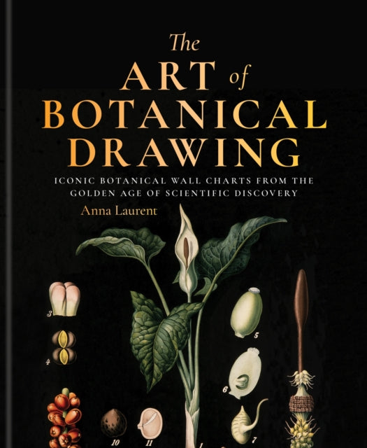 The Art of Botanical Painting: Iconic botanical wall charts from the golden age of scientific discovery
