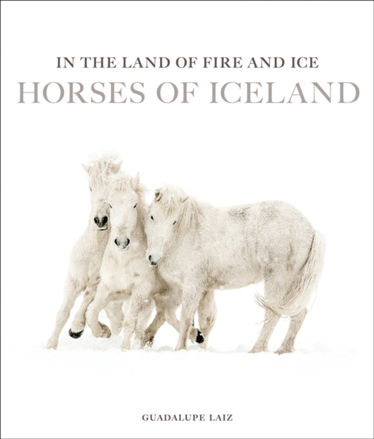 In the Land of Fire and Ice: Horses of Iceland