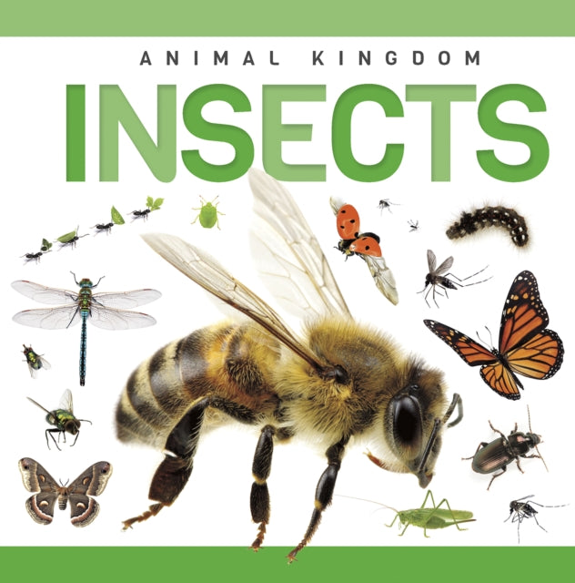 Insects