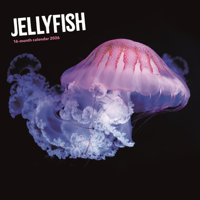 Jellyfish Square Wall Sunday Start Calen