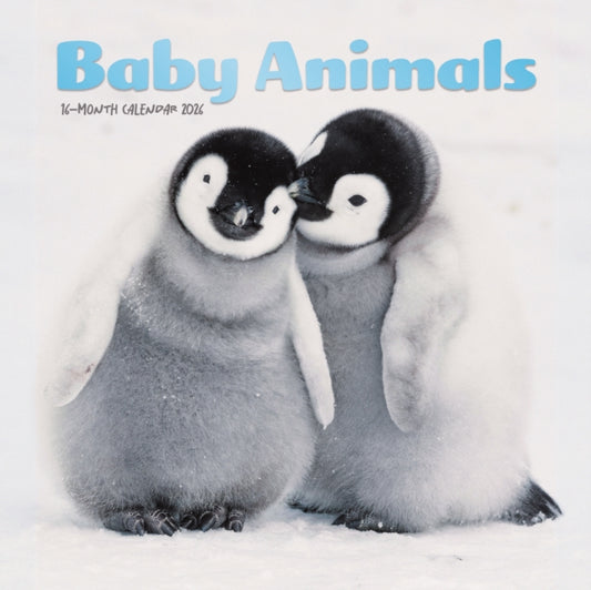Baby Animals Square Mini Sunday Start Ca