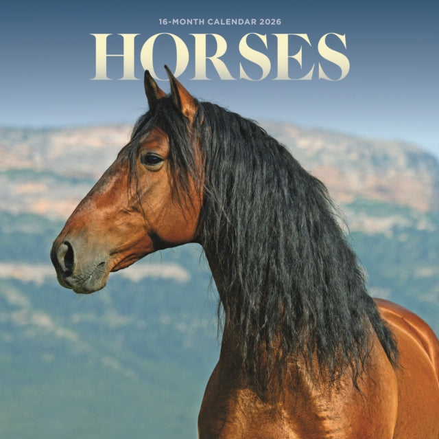 Horses Square Mini Sunday Start Calendar