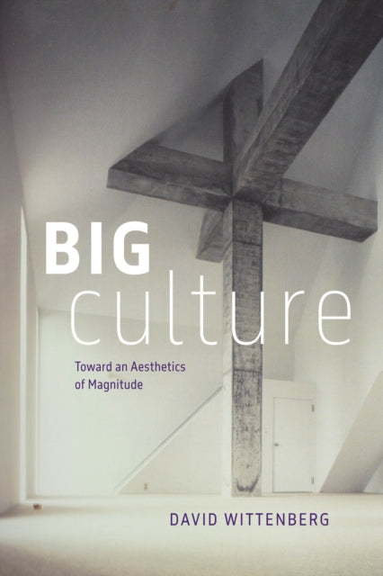 Big Culture: Toward an Aesthetics of Magnitude