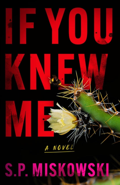 If You Knew Me: A Novel