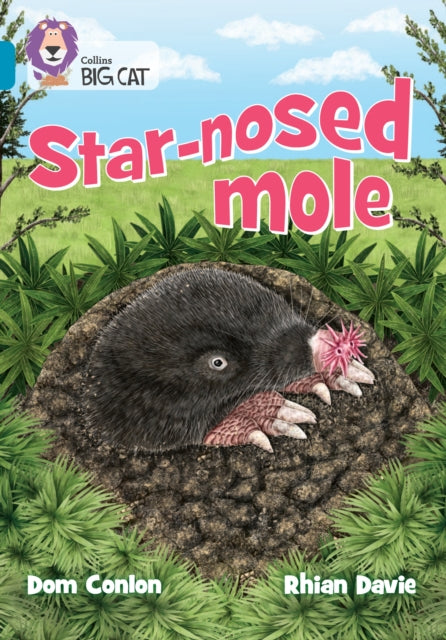 Star-nosed Mole: Band 13/Topaz
