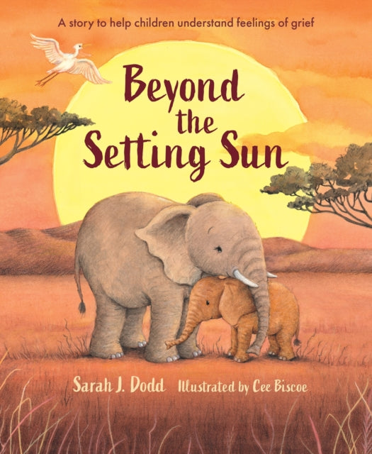 Beyond the Setting Sun: A story to help children understand feelings of grief