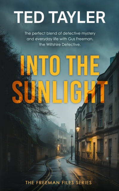 Into The Sunlight: A Cold Case Murder Mystery Series