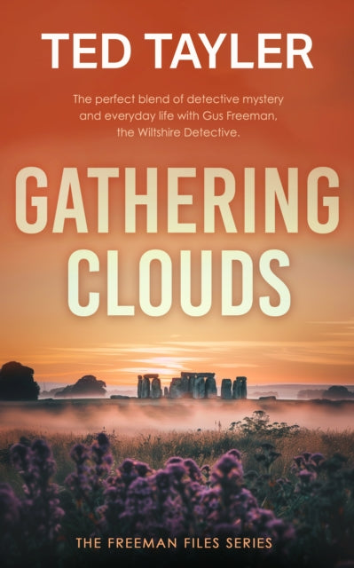 Gathering Clouds: A Cold Case Murder Mystery Series