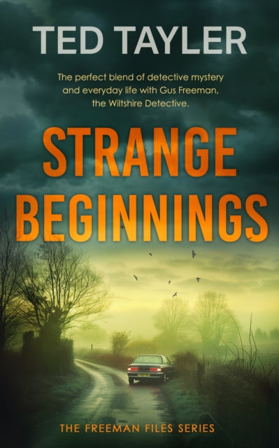 Strange Beginnings: A Cold Case Murder Mystery Series