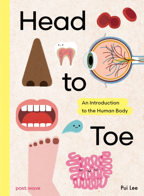 Head to Toe: An Introduction to the Human Body