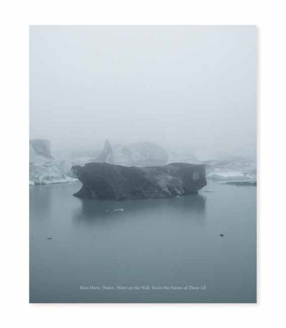 Roni Horn: Water Water On the Wall, You’re the Fairest of Them All