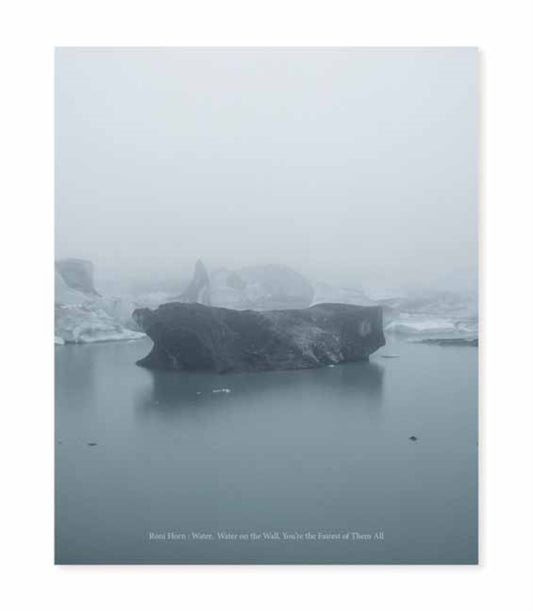 Roni Horn: Water Water On the Wall, You’re the Fairest of Them All