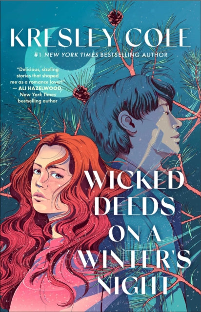 Wicked Deeds on a Winter's Night: a sizzling enemies to lovers, protector paranormal romance