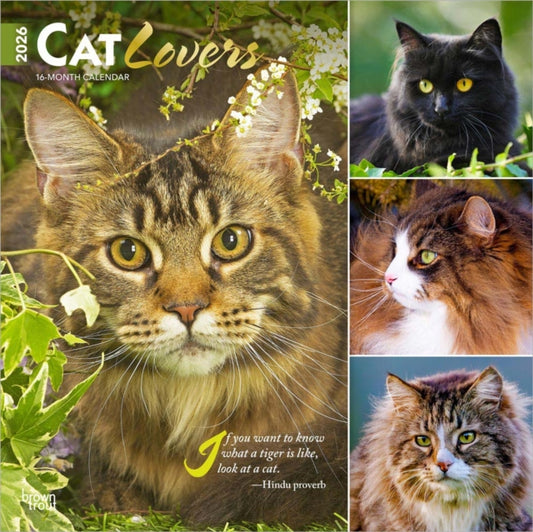 Cat Lovers 2026 Square Flap Foil Calendar