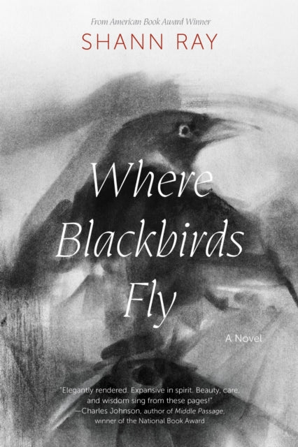 Where Blackbirds Fly: A Novel