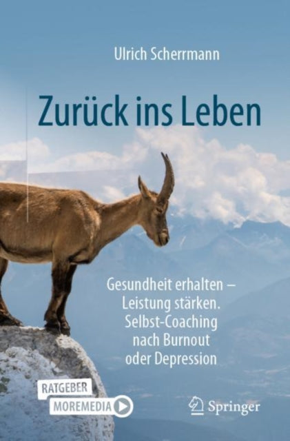 Zuruck ins Leben: Gesundheit erhalten – Leistung starken. Selbst-Coaching nach Burnout oder Depression