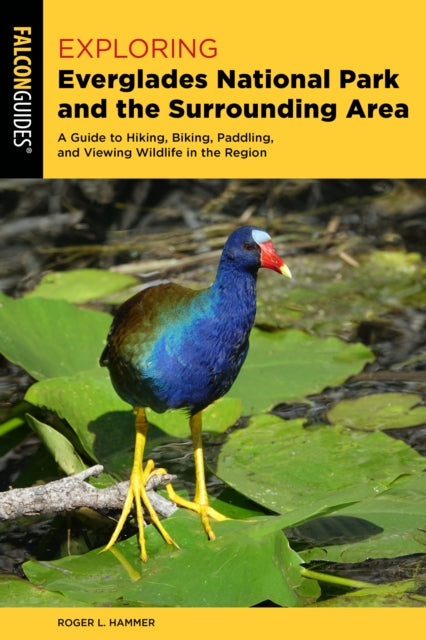 Exploring Everglades National Park and the Surrounding Area: A Guide to Hiking, Biking, Paddling, and Viewing Wildlife in the Region