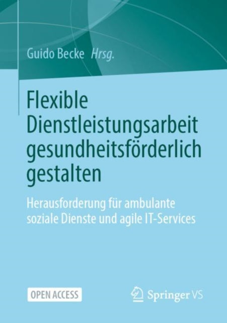 Flexible Dienstleistungsarbeit gesundheitsforderlich gestalten: Herausforderung fur ambulante soziale Dienste und agile IT-Services