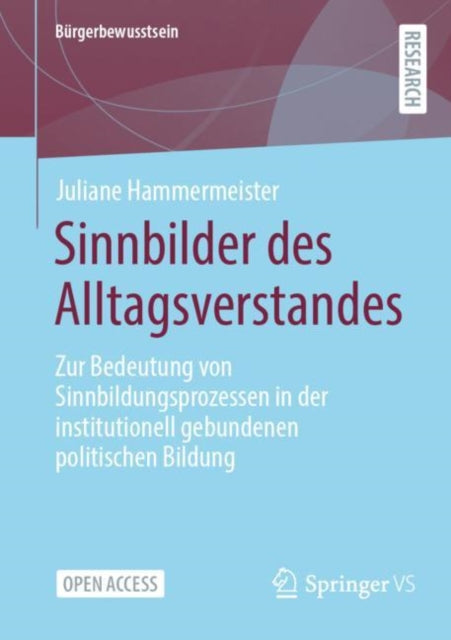 Sinnbilder des Alltagsverstandes: Zur Bedeutung von Sinnbildungsprozessen in der institutionell gebundenen politischen Bildung
